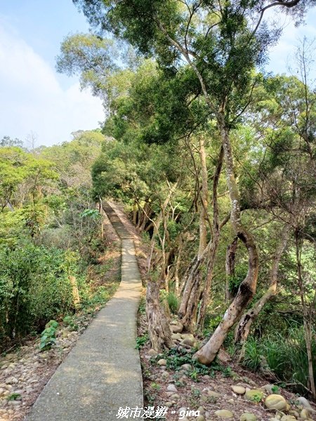 【彰化員林】綠樹林間散散步。 臥龍坡步道1691264