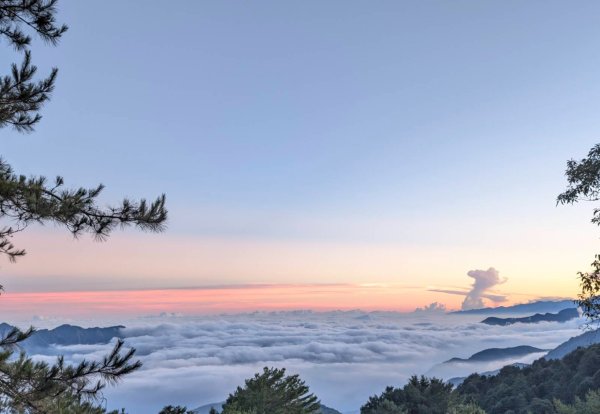 麟趾山、鹿林山、鹿林前山三山縱走(塔塔加三山)2990474