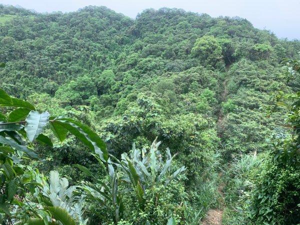 瑪陵坑群峰（七堵車站O型）2760799