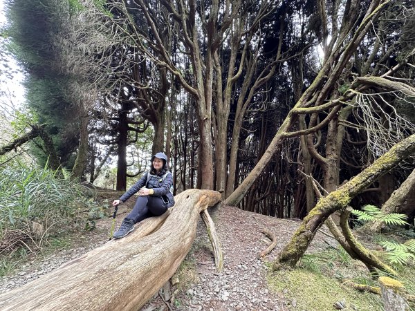 眠月線健行2992993