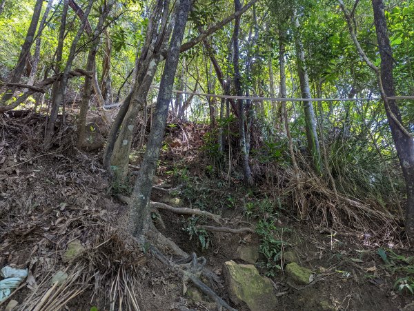 大溝溪生態治水園區。龍船岩。大崙頭山(小百岳)。圓覺瀑布1750689