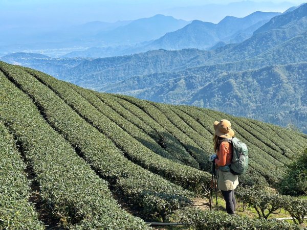 溪頭六連峰O繞2741747