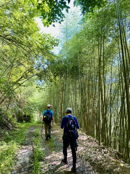 台中和平登觀音山東北峰.神谷山.遠藤山東峰.竹林.達觀山    2022/6/291749931