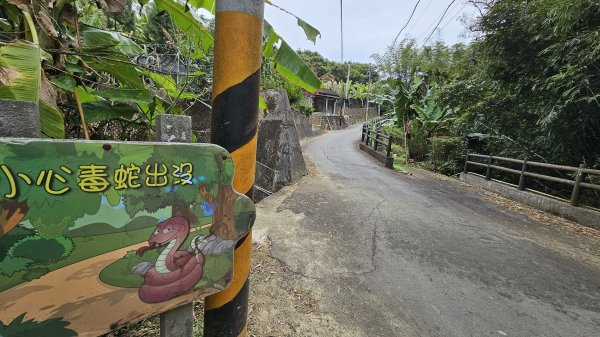 小中嵙登山步道頂中嵙山O形2385033