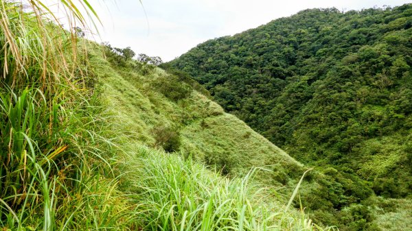 桶後越嶺古道2876807