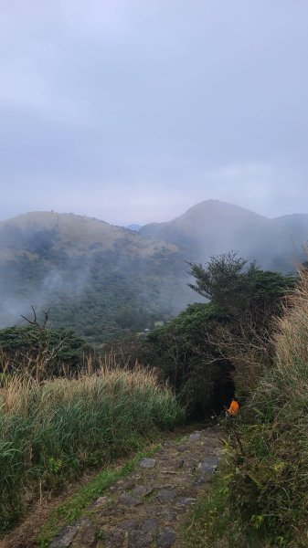 2026-0116 大屯三山_貴子坑_北投2984716