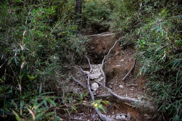 志佳陽大山2906138