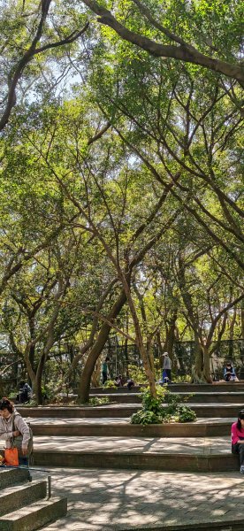 2026-0315 桃園虎頭山3015937