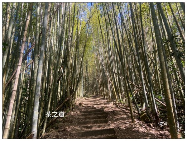 頂石棹步道群、樂野山、霹靂山 d型路線2749167
