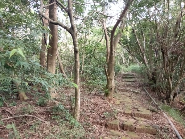 北投區大屯山西南南峰+西南峰+大屯山西峰+太子碑+清天宮步道O型2957141