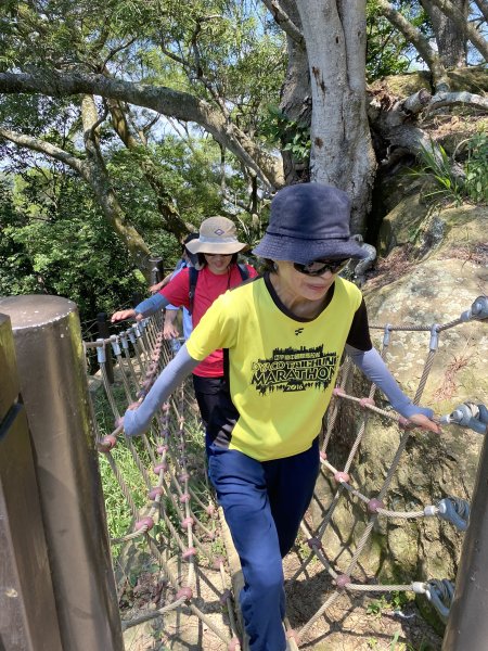《夏日大坑同行記｜10號步道登稜線，與家人感受山風與人情味》2926341