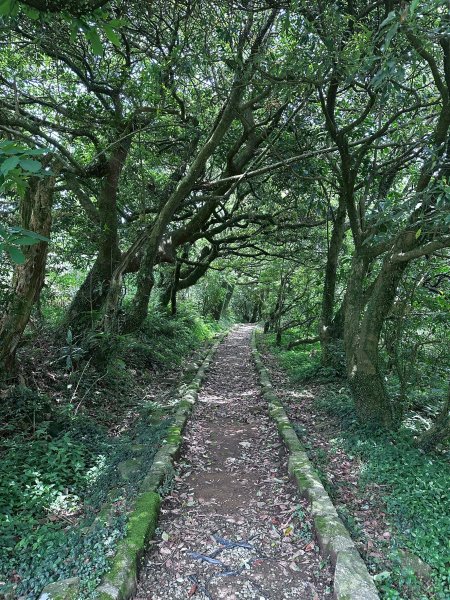 台北大縱走第二段2786952