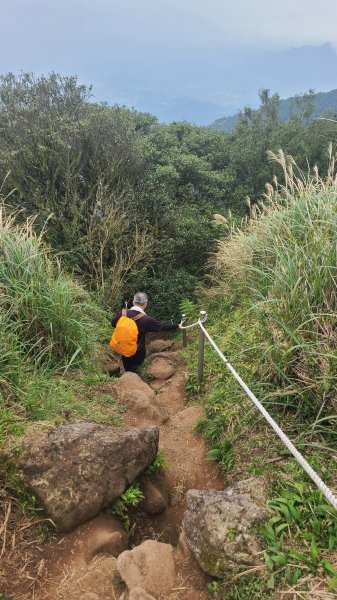 2026-0116 大屯三山_貴子坑_北投2984729