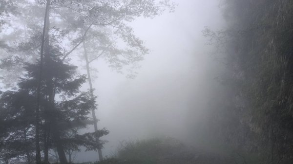 20251010 大雪山國家森林遊樂區 - 船型山林道 登 烏石坑山2911113