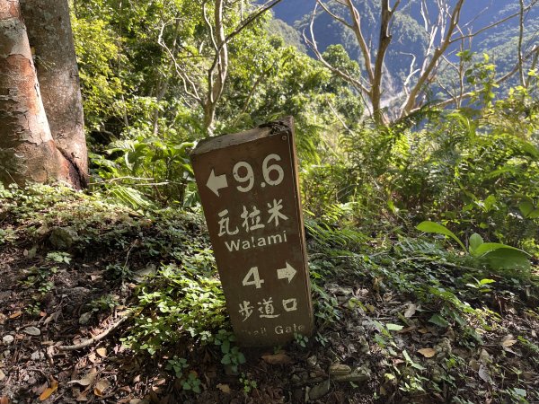 [玉山尋寶任務-03/12] 2025_0810 瓦拉米步道2857539