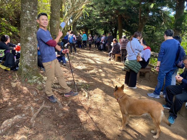 馬那邦山.細道邦山【你 不能預判山的變幻莫測】2401491