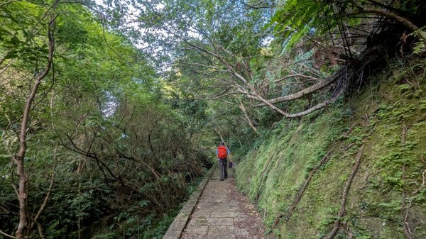 114.06.28內平林山-番子坑山-平湖森林遊樂區之O型2824289