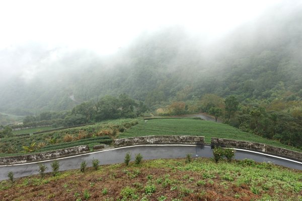 南山寺觀景台3086081