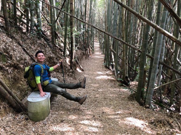 石壁木馬古道.雲嶺之丘.番子田山1303733