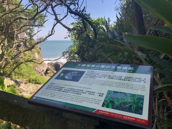 望海潮·北關懷古  北關海潮公園聽濤觀潮1092593