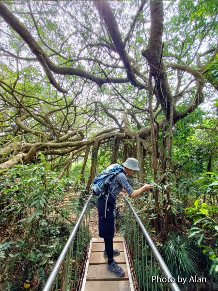 高雄柴山秘境 泰國谷 一簾幽夢878914