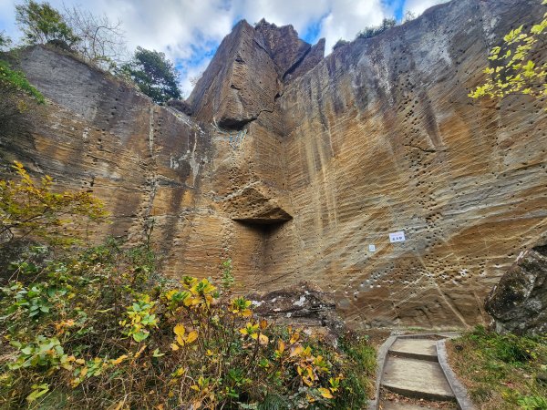 20251129鷹取山神武寺山2963981