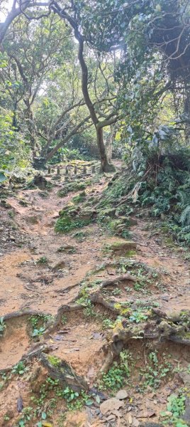 福源山步道2730326