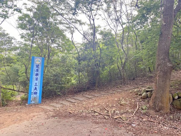 三員縱走(三義車站.三角山.雙峰山.慈惠堂.員屯山至銅鑼車站)  2021/5/11369220