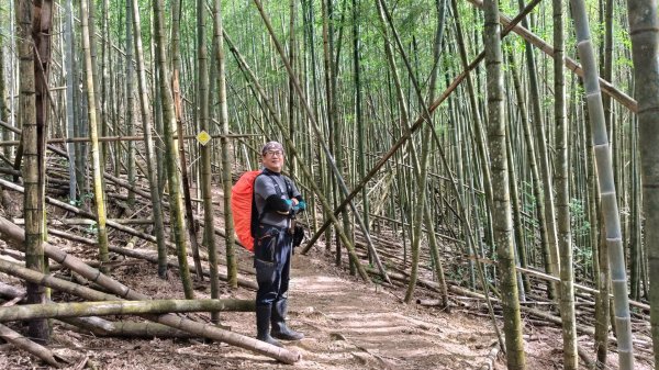 肥大醜三崠連走，鳶嘴西陵上鳶嘴山2650332