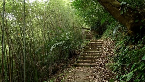 平溪步道,橘咖啡,官邸玫瑰2077438