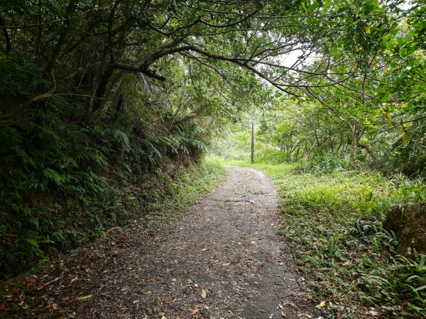 [淡蘭古道] 2026_0524 南路第五段_跑馬古道(下)-玉龍居3070176