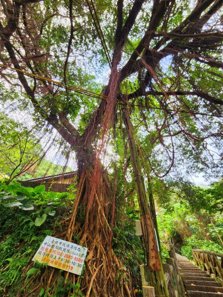 小百岳集起來-劍潭山2180734