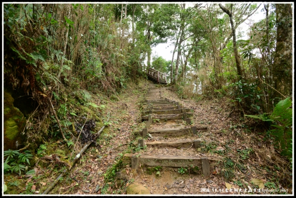 奮起湖大凍山步道尋幽71832