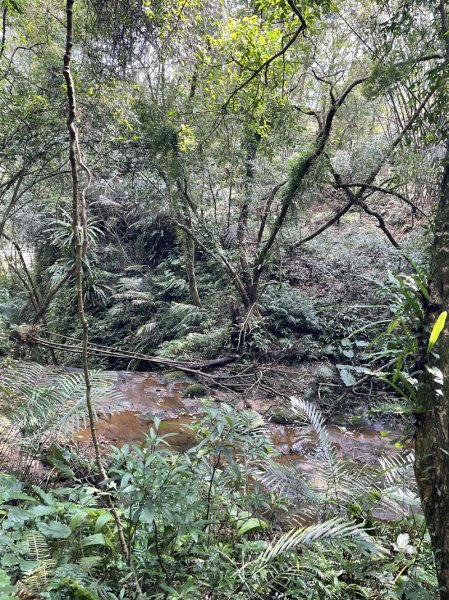 微笑山線/五分山系3013349