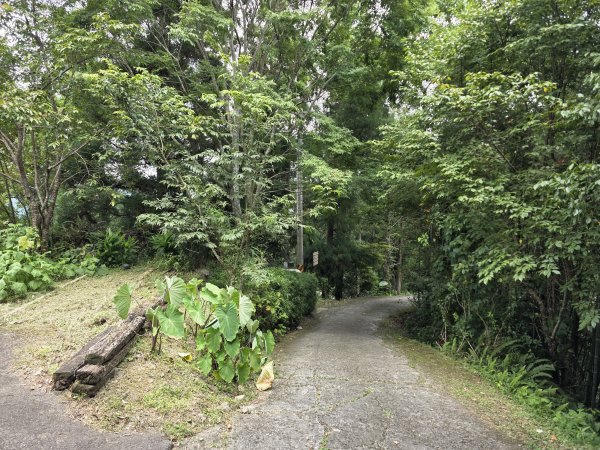 [皮皮獅探險隊-10/10] 2025_0816 白蘭溪古道2862924