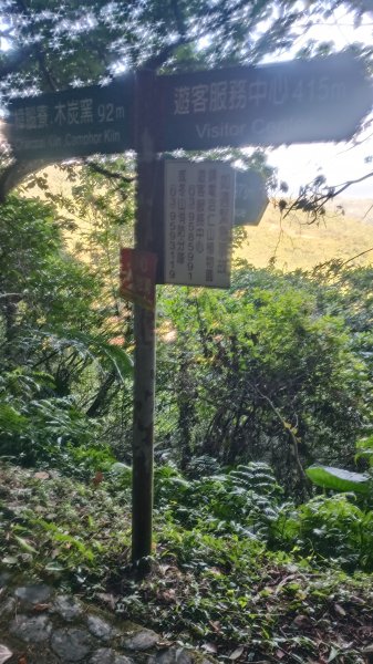 仁山植物園1747606