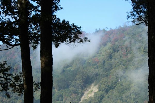 104.12.1台中稍來山南峰+稍來山主188923