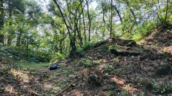 平溪區東勢格古道-咸豐嶺烽火台-峭壁雄峰-三抱竹鞍-白石後仙洞-東勢格古道P字走3126895