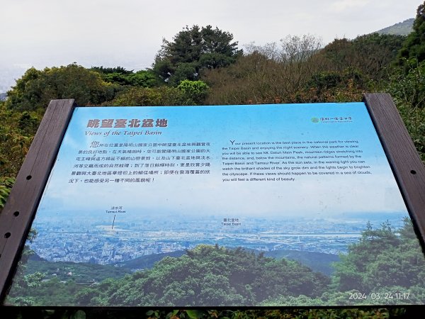 【發現陽明山】頂北投→陽峰古道→陽明山花鐘→陽明書屋→紫明溪步道→竹子湖海芋季2463812