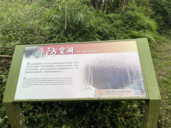 [嘉遊好步道．來嘉走走-04/10] 2024_1011 阿里山頂湖步道2624704