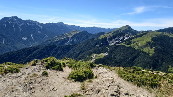 合歡山北峰 小溪營地 鷹角石 合歡北峰名樹2903403