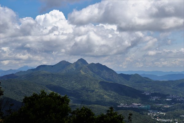 HK - 鷓鴣山1044393