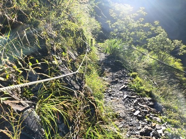 [玉山尋寶任務-07/12] 2025_0824 八通關雲龍瀑布步道2870654