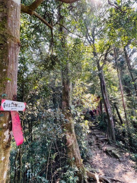 1140319仙山-仙山南峰2738231