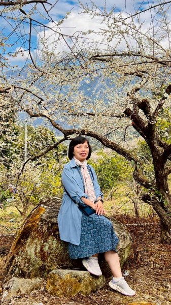 🌈1/17（六）蔡家古厝賞梅×梅子夢工廠×車埕老街✨FB：熊熊趴爬走🌈2983945