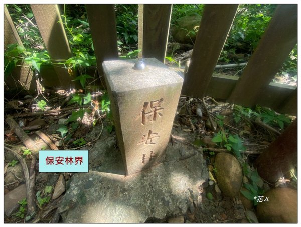 火炎山 相思花開 (季節限定) 三義3052265