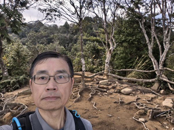 高島縱走、馬胎南坪古道2724273