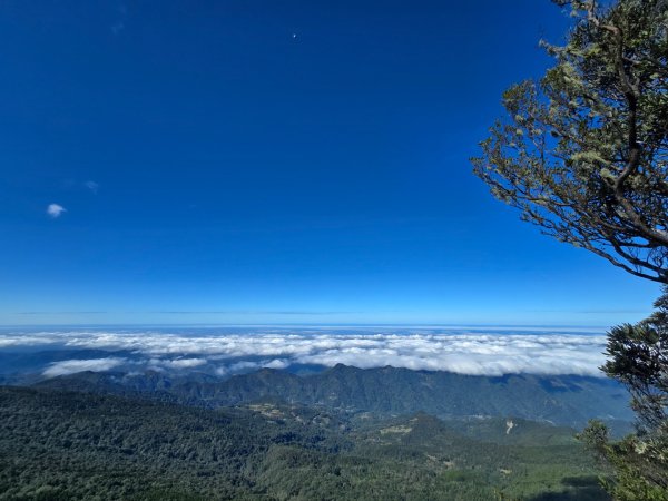 加里山（大坪登山口大O繞）2955448