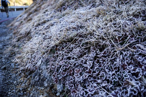 合歡北峰 新手百岳2970179