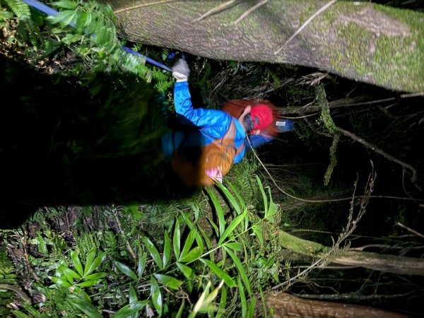 桂山路197巷 》呂奔山北峰 》呂奔山 》阿玉壩2755832